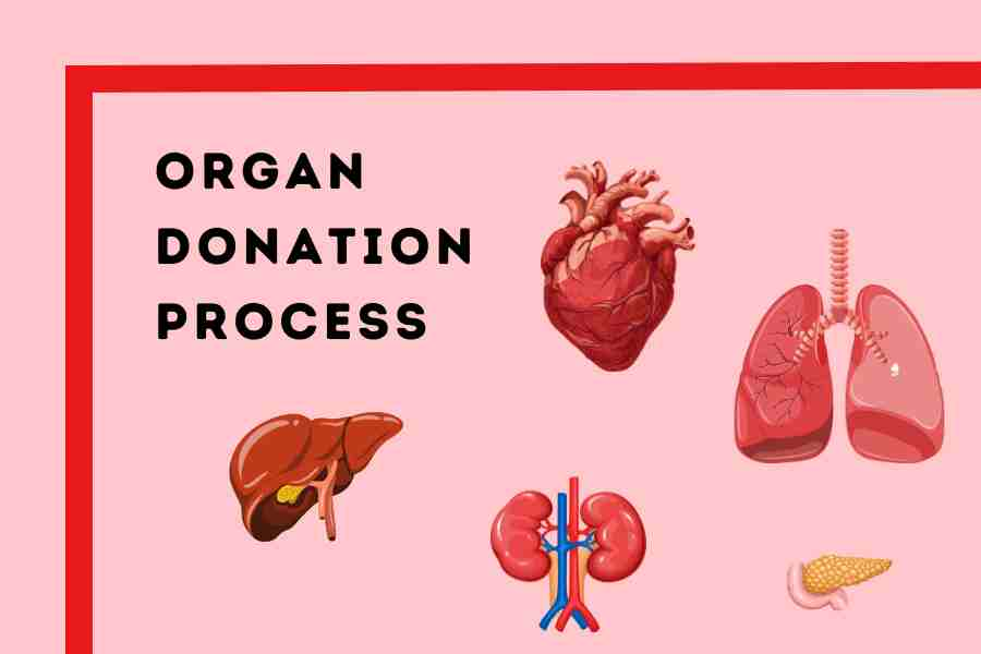 World-Organ-Donation-Day-BNC