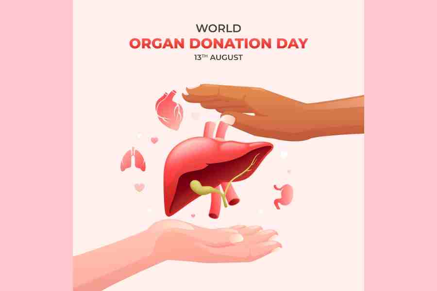 The Importance of Organ Donation: How Donating Organs Can Save Lives